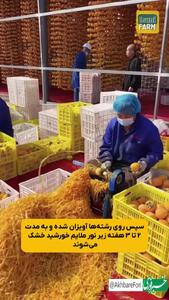 تولید شکر از خرمالو در چین!