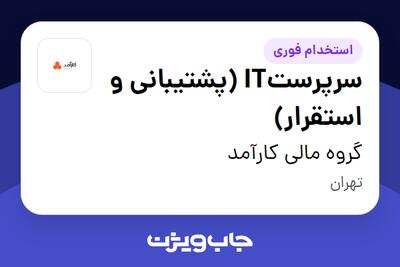 استخدام سرپرستIT (پشتیبانی و استقرار) در گروه مالی کارآمد
