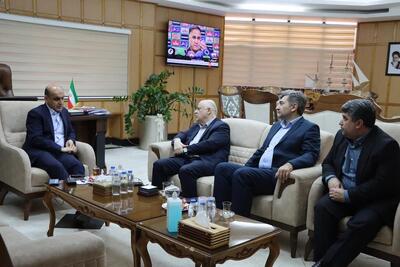 ۶ هزار کیلومتر از شبکه های فرسوده برق گیلان بازسازی می شود