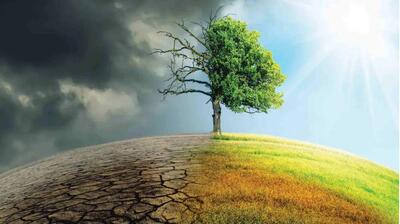 میگنا - رابطه توسعه پایدار و تاب آوری