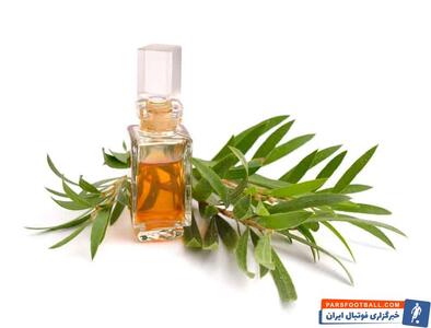 روغن درخت چای : با خواص شگفت‌انگیز برای پوست و مو + نحوه استفاده