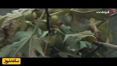 فیلم آواز روح انگیز  رضا یزدانی با بازی زیبای الناز حبیبی و ماهور الوند !  / دلگیرم از همه تنهام نذار رفیق ! + موزیک ویدیو