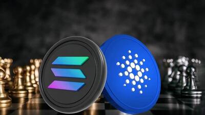 سولانا یا کاردانو؛ کدام یک را برای خرید انتخاب کنیم؟
