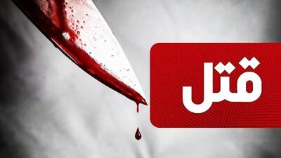 کارشناس- مجری شبکه افق توسط پسرخاله اش به قتل رسید+ عکس