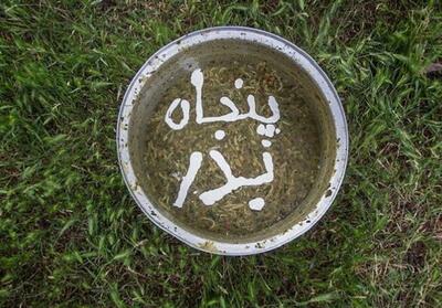 پنجاه‌به‌در  ؛ بازمانده آیین کهن باران‌خواهی در دل قزوین - تسنیم