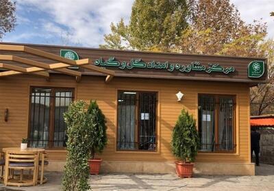 از افتتاح کلینیک گل وگیاه تا بوستان‌ بانوان بسیج و نصرت - تسنیم