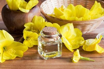 روغن گل مغربی باعث درمان میگرن می‌شود یا تشدید آن؟