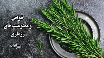 خواص وممنوعیت های رزماری / چیزهایی که درباره این گیاه نمی‌دانید (فیلم)