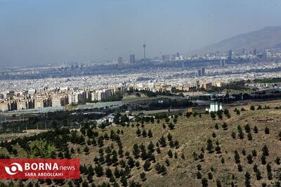 بهره برداری فاز نخست مرکز «بی‌بی شهربانو» تا پایان سال