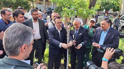 درخت دوستی ایران و تاجیکستان غرس شد