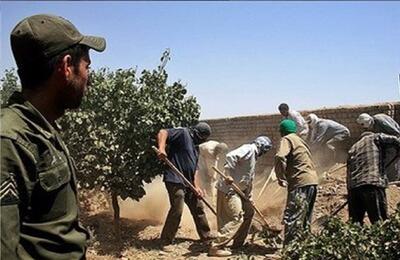 خبر تازه از سقوط ۸ نفر به چاه در کوهدشت / ۷ نفر فوت شدند