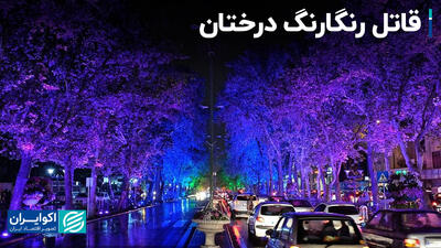 قاتل رنگارنگ درختان؛ نورپردازی درختان چه آسیبی به آن‌ها وارد می‌کند؟