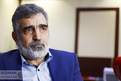 واکنش سازمان انرژی اتمی به اظهارات وزیر خارجه آمریکا؛ ایران تنها کشوری نیست که غنی‌سازی می‌کند و سلاح هسته‌ای ندارد