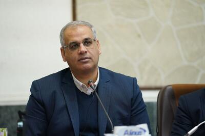 معاون وزیر کار: ساماندهی نیروی کار خارجی را ضروری، اما حذف کامل ان‌ها غیرواقع بینانه است