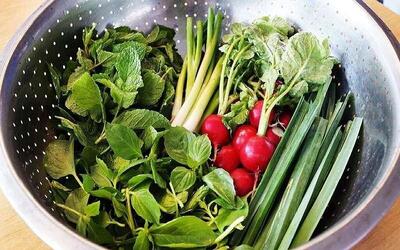چطور سبزی‌ها را تازه نگه داریم؟ فوت‌وفن نگهداری سبزیجات