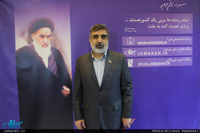 معاون سازمان انرژی اتمی ایران: ایران تنها کشوری نیست که غنی‌سازی می‌کند و سلاح هسته‌ای ندارد