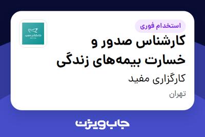 استخدام کارشناس صدور و خسارت بیمه‌های زندگی در کارگزاری مفید