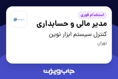 استخدام مدیر مالی و حسابداری در کنترل سیستم ابزار نوین