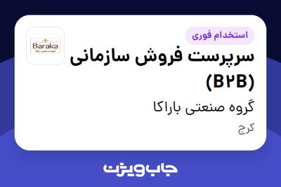 استخدام سرپرست فروش سازمانی (B2B) در گروه صنعتی باراکا