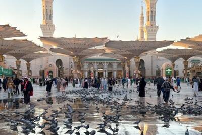 حج خویش را با زیارت رسول خدا (ص) تمام کنید