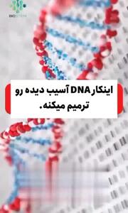 کیوی، محافظ بی برو برگشت DNA + فیلم