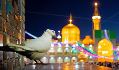 فیلم ۱۰۰ ثانیه‌ای نزدیک‌تر در سالروز ولادت امام رضا (ع) منتشر شد