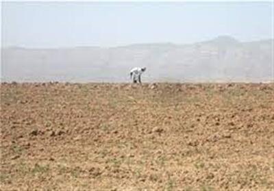 نابودی محصول 120 هزار هکتار از اراضی گلستان بر اثر خشکسالی - تسنیم
