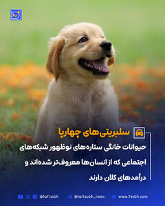 حیوانات خانگی ستاره‌های نوظهور شبکه‌های اجتماعی