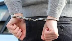 درگیری مرگبار دو همسایه بر سر بچه گربه‌ها