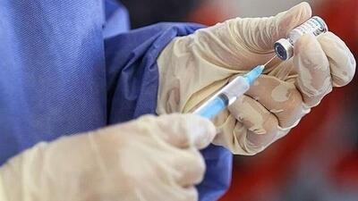 صادرات 700 هزار دوز واکسن   ب‌ث‌ژ   به ونزوئلا