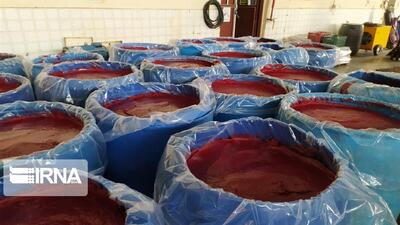 دیدگاه یک کارشناس صنایع غذایی درباره تفاوت رب گوجه‌فرنگی خانگی با صنعتی