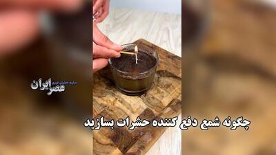 ساخت شمع ضدحشره با قهوه و میخک؛ ترفندی ساده و اقتصادی (فیلم)