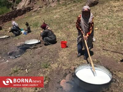 دومین جشنواره گردشگری «شکرانه شیر» در روستای گردشگری بکاول تربت حیدریه برگزار شد