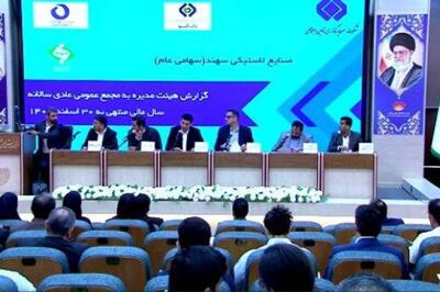 260 تومان سود نقدی بین سهامداران «پسهند» تقسیم شد