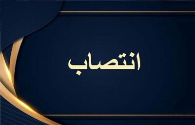 «مدیر کل پژوهش و اسناد»ریاست جمهوری منصوب شد