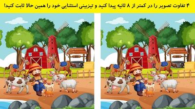 4 تفاوت تصویر را در کمتر از 8 ثانیه پیدا کنید و تیزبینی استثنایی خود را همین حالا ثابت کنید!