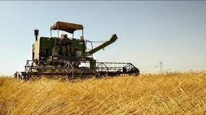 پایان برداشت کلزا در خرمشهر