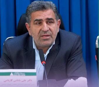 مجلس پیگیر بازگشت مزیت‌های اقتصادی به مناطق آزاد است