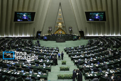 وزیرکار به سوال نمایندگان پاسخ می‌دهد/بررسی احکام مهریه در دستور کار مجلس
