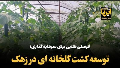 فیلم | فرصتی طلایی برای سرمایه گذاری؛ توسعه کشت گلخانه‌ای در زهک