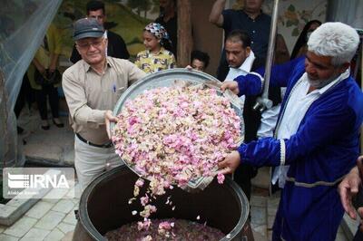 رویداد گلاب‌گیری کاشان در تقویم رویدادهای گردشگری کشور ثبت شد