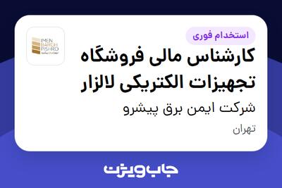 استخدام کارشناس مالی فروشگاه تجهیزات الکتریکی لالزار - آقا در شرکت ایمن برق پیشرو