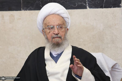دستور جدید آیت الله مکارم شیرازی؛ هر خانواده حداقل 3 فرزند داشته باشد
