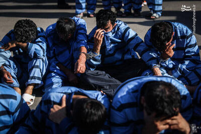دستگیری ۴۹۵ مالخر و کشف ۸۳۳ فقره سرقت