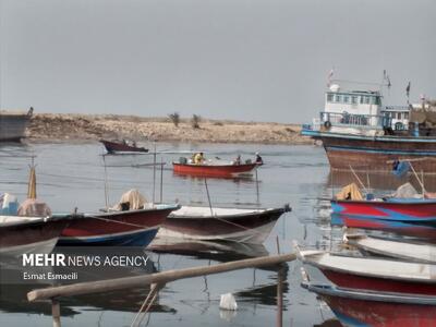 «دریابست» در استان بوشهر؛ ممنوعیت صید برای حفظ ذخائر آبزیان