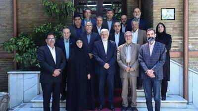 میگنا - پیشنهاد عارف در دیدار با جمعی از اعضای انجمن روانشناسان برای تشکیل شورای عالی سلامت روان