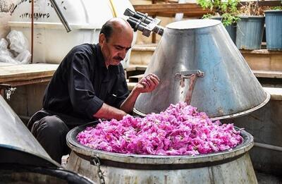 بازار گل سکه می‌شود