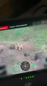 فیلم نبرد موش‌های صحرایی در خط مقدم جنگ از نگاه پهپاد