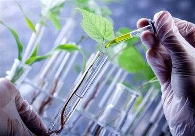 25 سال تلاش برای ترویج علم؛ روایت عشق به دانایی - تسنیم