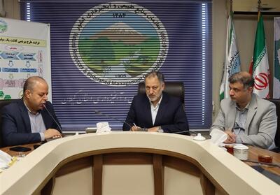 هر درختی که قطع شود مسئولان باید پاسخگو باشند - تسنیم